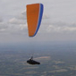 matt pepper's picture